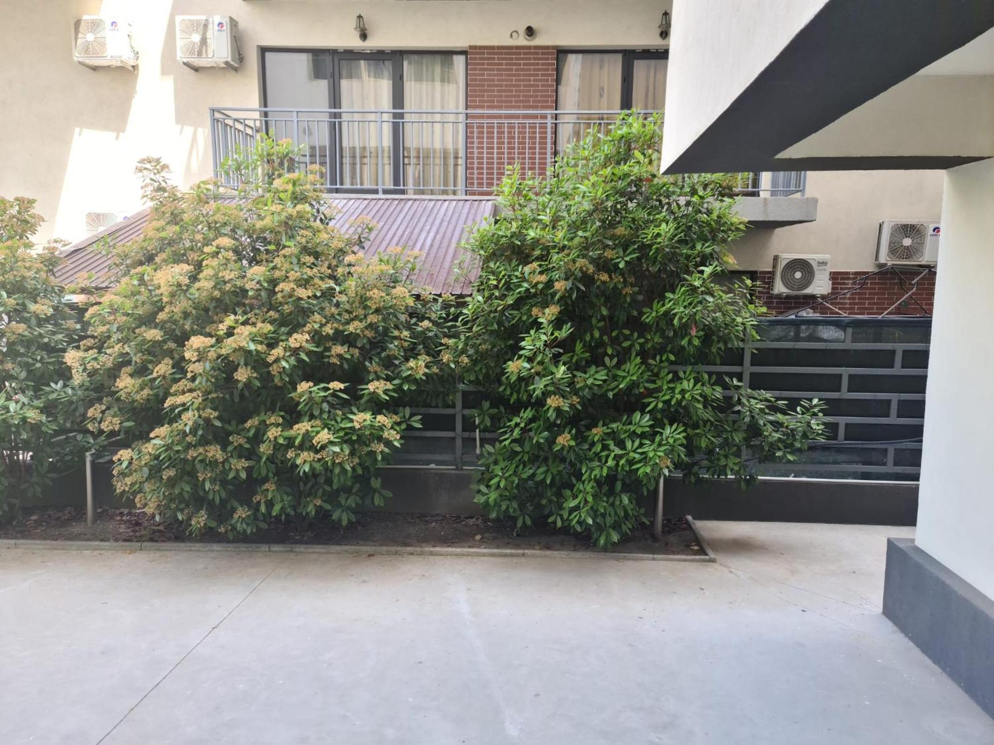 Apartament Deea Năvodari Esterno foto